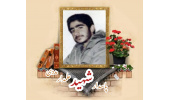 پاسدار شهید علمدار مددی