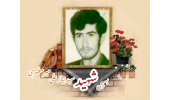 بسیجی شهید سیدنیازعلی میرمطهری