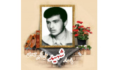پاسدار شهید علی‌اکبر حیدری گرجی