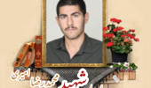 پاسدار شهید محمدرضا امیری سیاوشانی