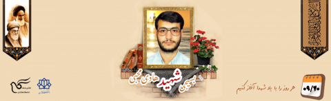 بسیجی غیرتمند امر به معروف و نهی از منکر شهید هادی محبی