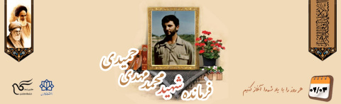 فرمانده شهید محمد مهدی حمیدی