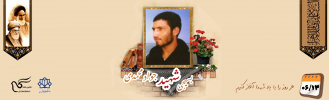 بسیجی شهید جواد محمدی