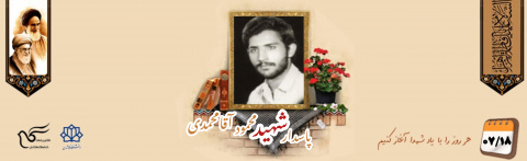 پاسدار شهید محمود آقامحمدی