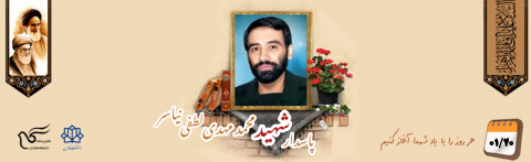 شهید مدافع حرم محمد مهدی لطفی نیاسر