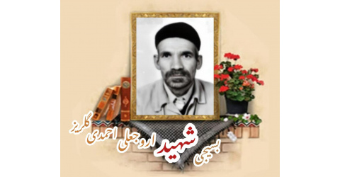بسیجی شهید اروجعلی احمدی گلریز