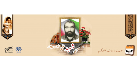 بسیجی شهید علی نادری پور