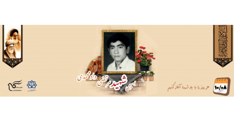 بسیجی شهید مرتضی دادمحمدی