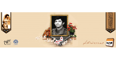 بسیجی شهید محمد عارف ملک محمودی