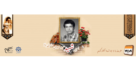 بسیجی شهید سیدمهدی ریزویی بالا