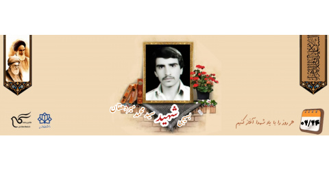 بسیجی شهید سیدمحمد میردهقان تفت