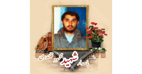 پاسدار شهید محمود قلندری
